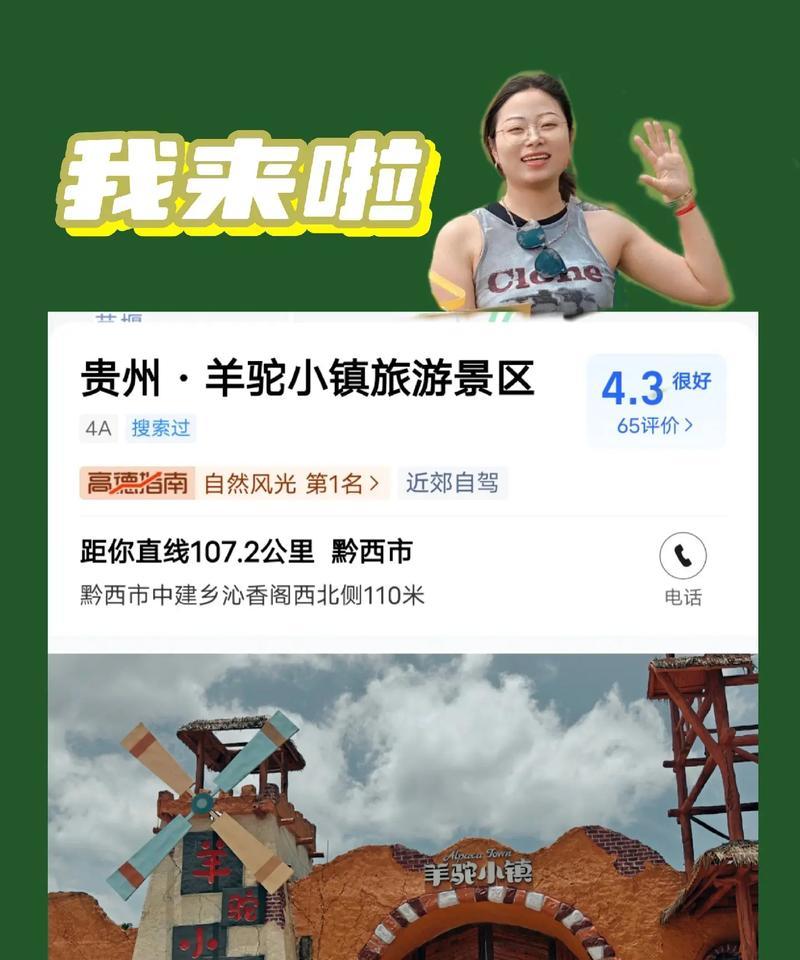 南阳羊驼小镇的收费情况如何？有哪些服务项目？
