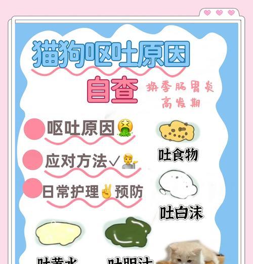 猫咪吃猫粮后呕吐是什么原因？如何预防？