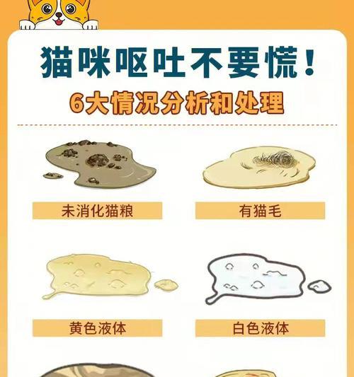 猫咪吃猫粮后呕吐是什么原因？如何预防？