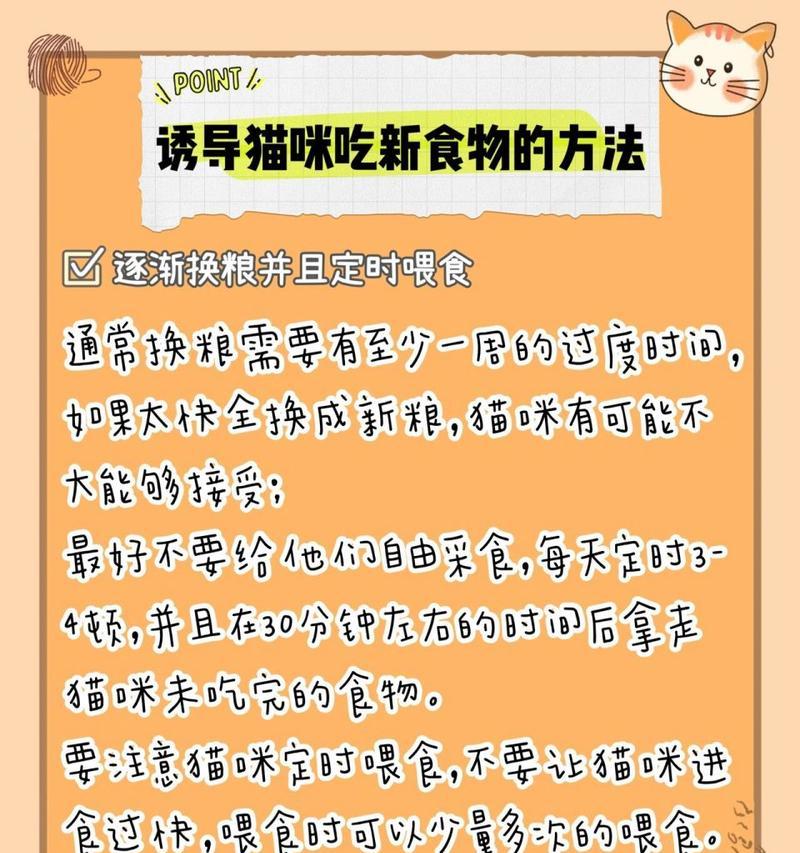 猫粮拌肉会挑食吗为什么？这种做法对猫咪有什么影响？
