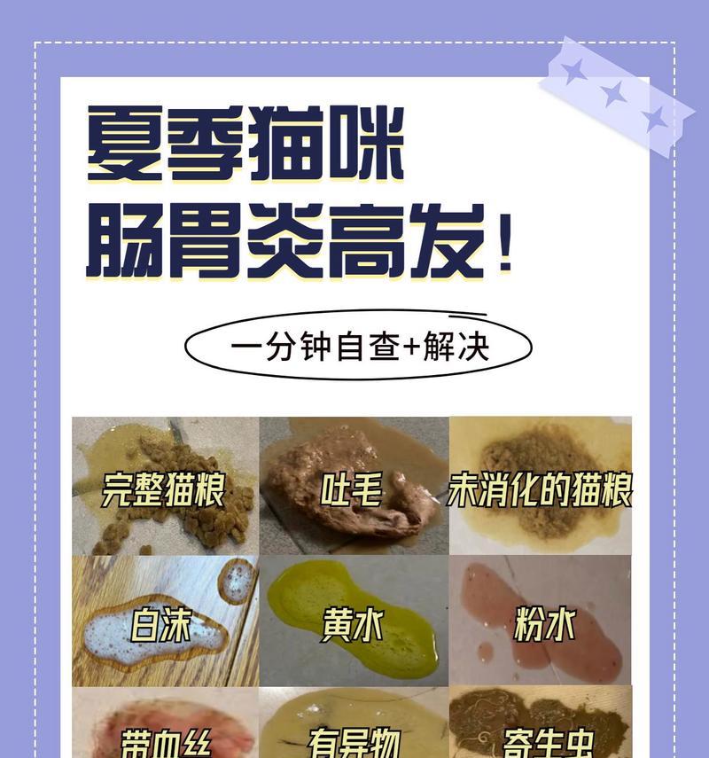 猫吐粮吐毛发怎么回事啊？猫咪呕吐和吐毛发的常见原因是什么？