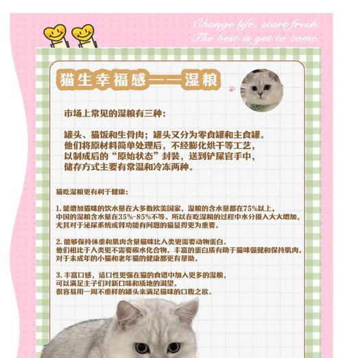 橘猫湿粮怎么制作？如何让橘猫湿粮更美味？