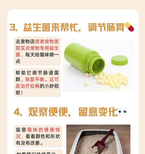 给猫喂食猫粮后出现拉稀的原因是什么？
