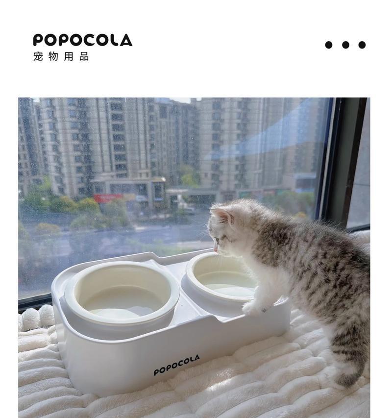 猫粮碗带盖子的叫什么牌子？有哪些设计特点？