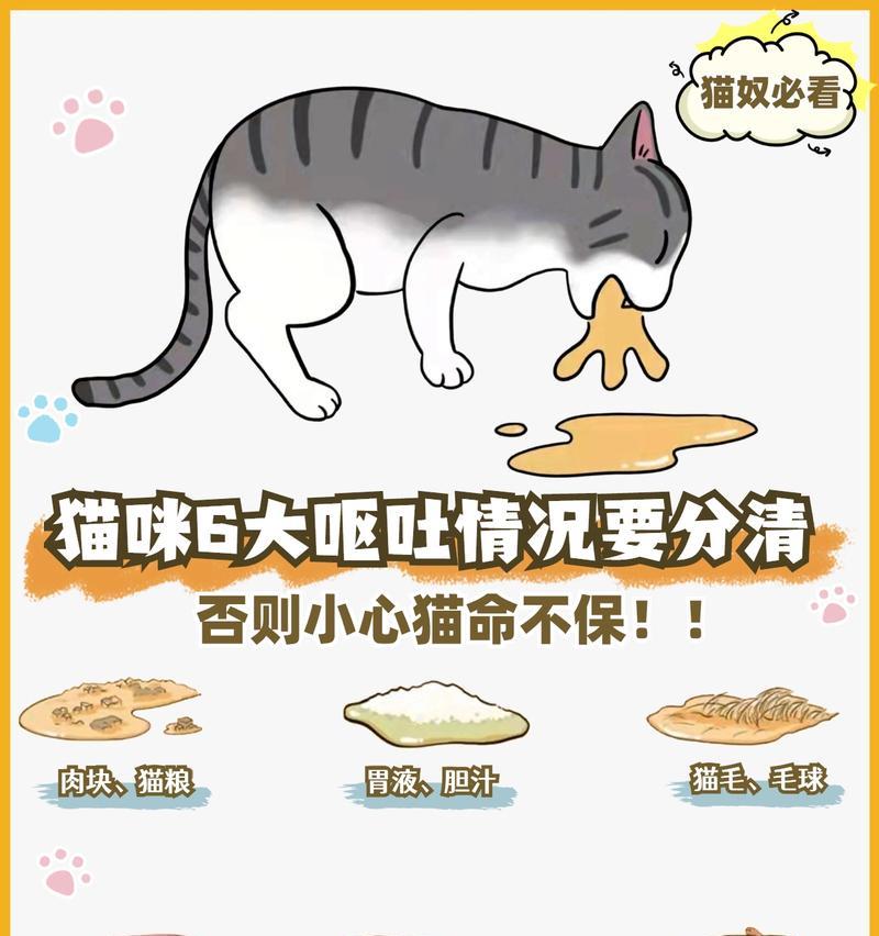 猫猫是否允许主人共享猫粮及其原因是什么？