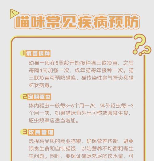 猫咪到家后没有猫粮的应急措施有哪些？