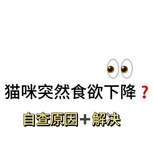 猫咪突然不进食猫粮是何原因？