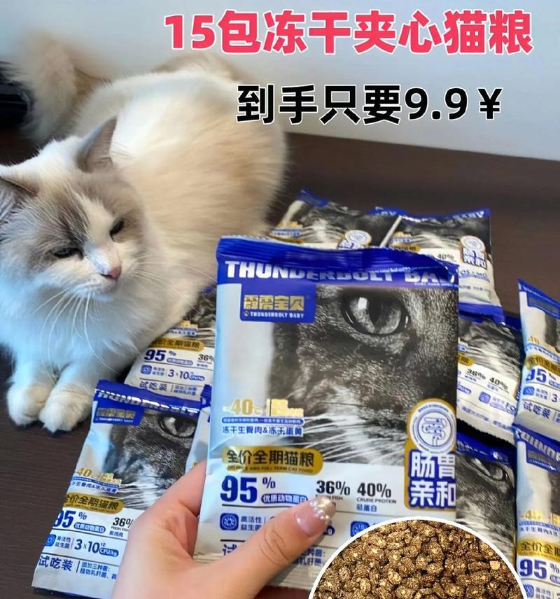 干猫粮对小猫有什么吸引力？