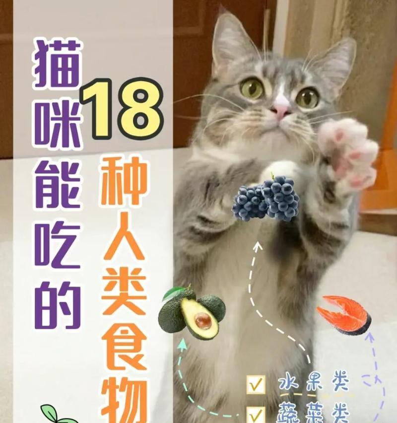 猫咪吃猫粮外还能添加哪些食物？