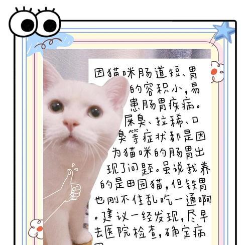 田园猫拒食猫粮原因何在？如何解决？