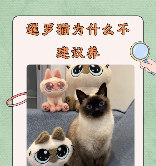 暹罗猫咀嚼猫粮的原因是什么？这样做对它们有害吗？