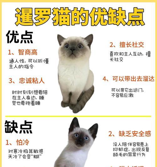 暹罗猫咀嚼猫粮的原因是什么？这样做对它们有害吗？