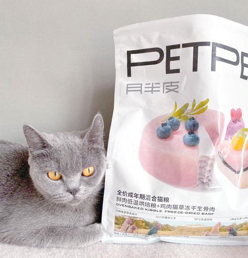 欧美人是如何喂猫粮的？他们的喂养方式有哪些特点？