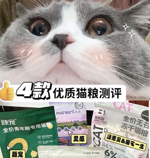猫咪吃米面好吗？为何更推荐猫粮？