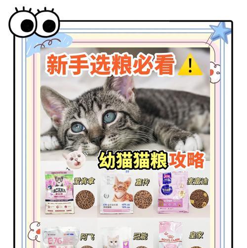 宝宝猫吃什么猫粮好一点？有哪些适合幼猫的猫粮推荐？