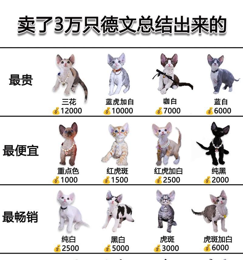 德文猫幼猫的猫粮选择标准是什么？有哪些推荐品牌？