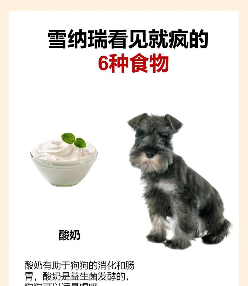 七斤重的雪纳瑞一顿应该吃多少克食物？如何计算？