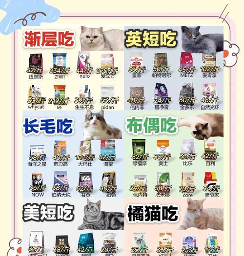 新手如何选择猫粮全套？选择时应考虑哪些因素？