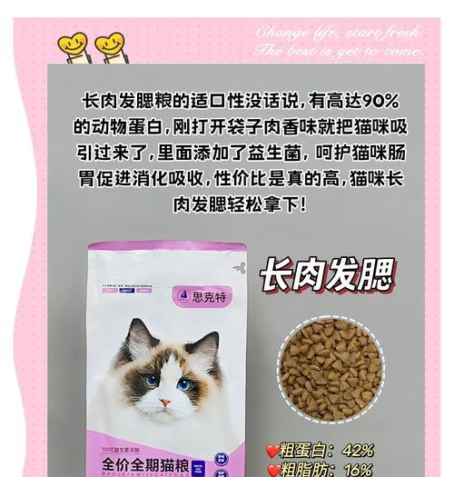 猫咪肥胖应选择哪种猫粮？