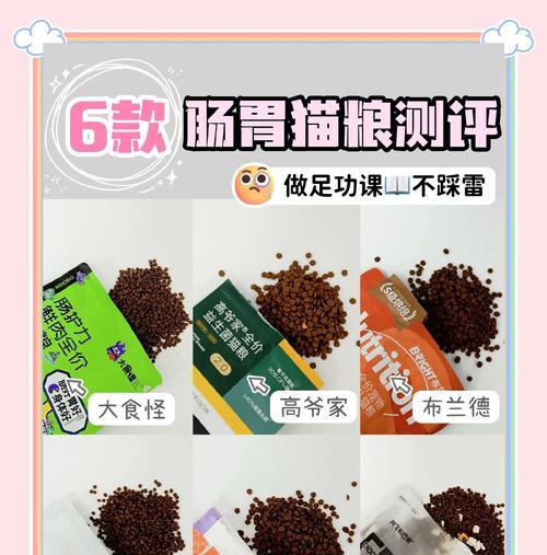 老年猫消化不良怎么办？哪种猫粮适合？