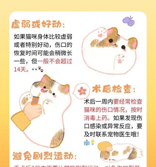 绝育猫粮消毒的最佳方法是什么？