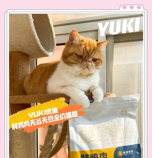 去皮鸡肉做猫粮怎么做？制作过程中的注意事项是什么？