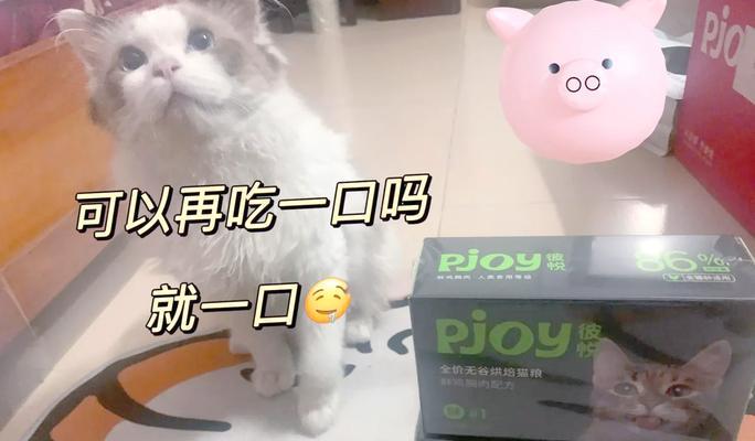 猫粮上放猫砂会怎么样