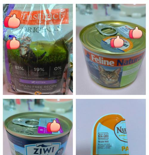 狸花猫没有猫粮时应该喂什么？有哪些替代食物？