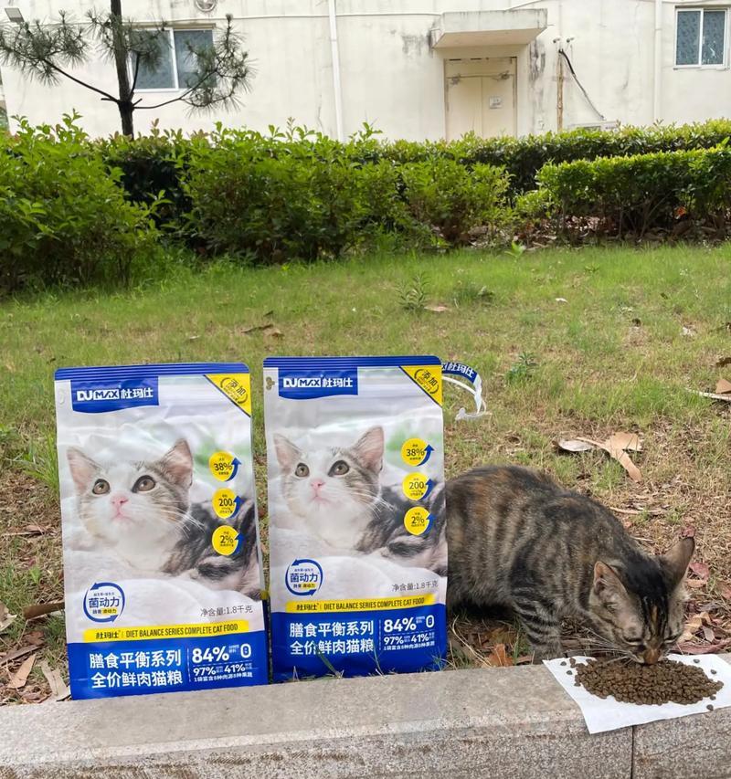 猫一直吃猫粮发胖吗为什么？羊驼会不会吃棉花糖呢怎么回事？