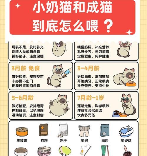 奶猫只喝奶不吃猫粮的原因是什么？