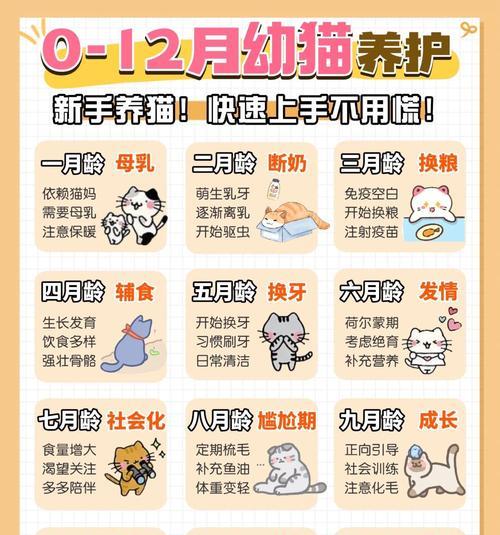 奶猫只喝奶不吃猫粮的原因是什么？