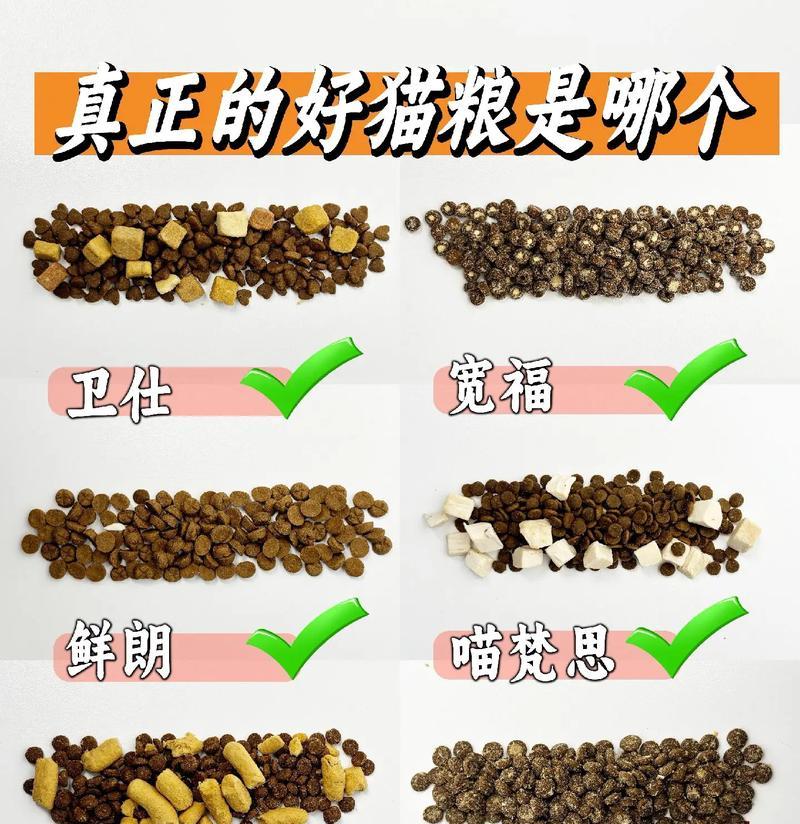 猫咪可以直接吃干猫粮吗？