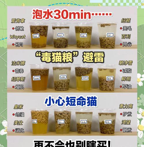 泡水猫粮为何会发酸？