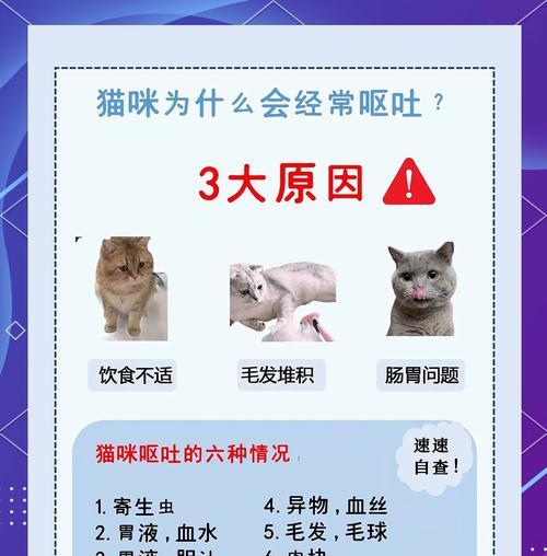 猫咪换粮后呕吐腹泻的原因是什么？