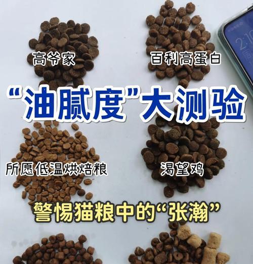 三口吃一碗猫粮会导致猫咪肥胖吗？原因是什么？