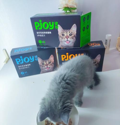 猫咪没有猫粮时应该给它吃什么？紧急情况下的处理方法？