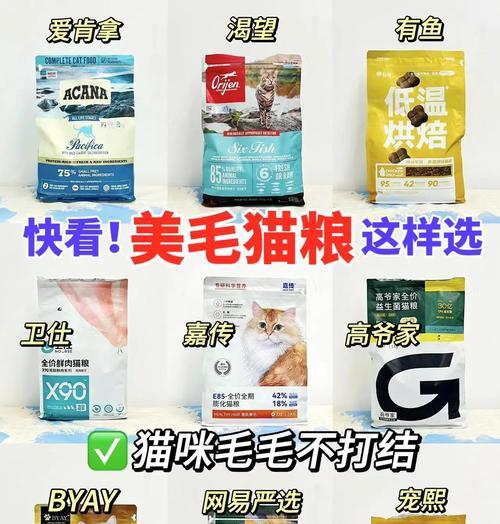猫咪毛发粗糙应该吃什么猫粮？如何选择合适的猫粮？