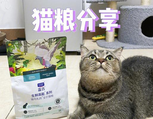 猫吃的什么鸟粮好吃又营养？鸟粮是否适合长期作为猫咪的食物？