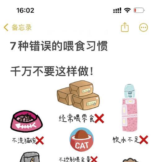 如何避免猫咪喂食猫粮的常见错误？正确的喂食方法是什么？