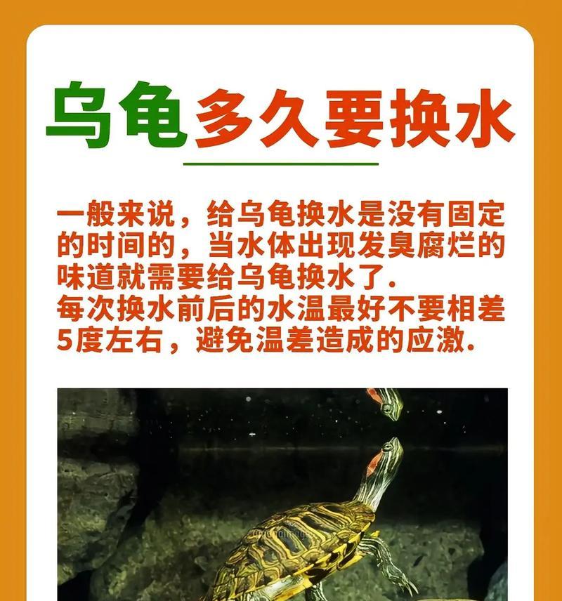 巴西龟换水频率是多少？不换水会怎样？