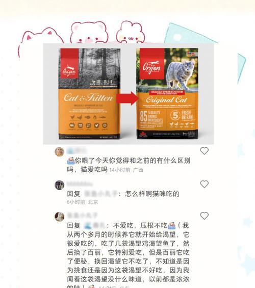 猫咪为何会扔掉猫粮不吃？这是否是健康问题的信号？