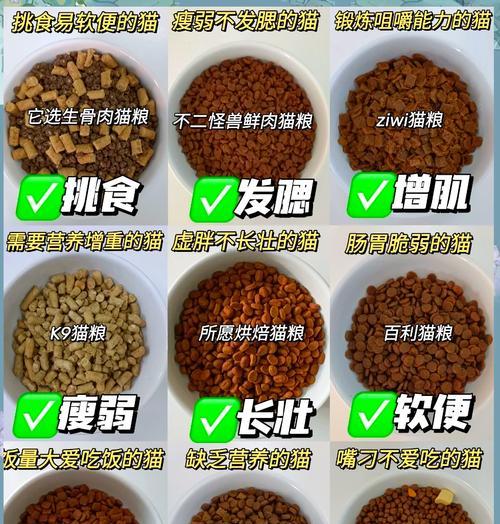 如何挑选适合的低盐猫粮？