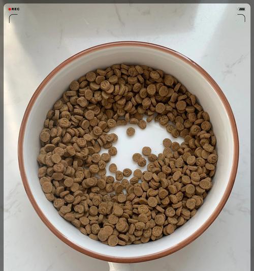 原始森林猫粮为何缺乏测评？