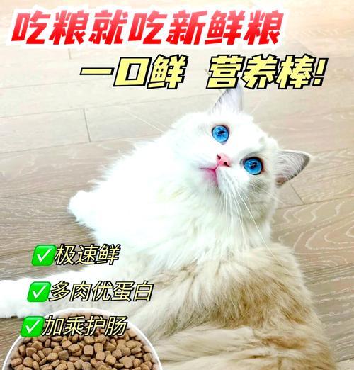新鲜猫粮同城配送怎么样？这种服务对猫咪的饮食有何好处？