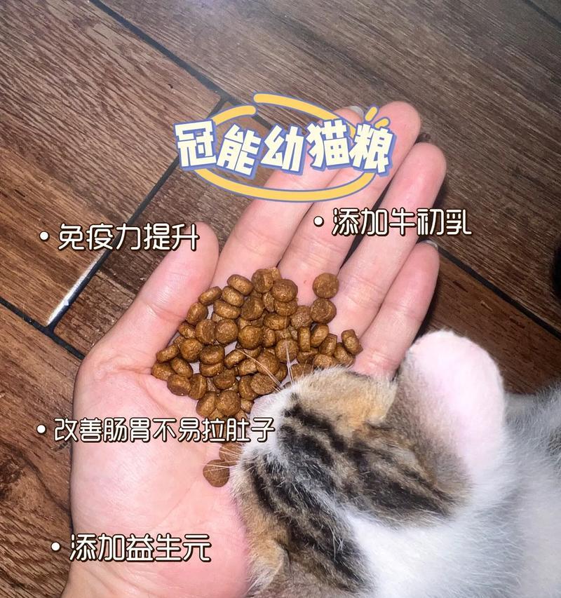 神农猫粮为何受小猫喜爱？