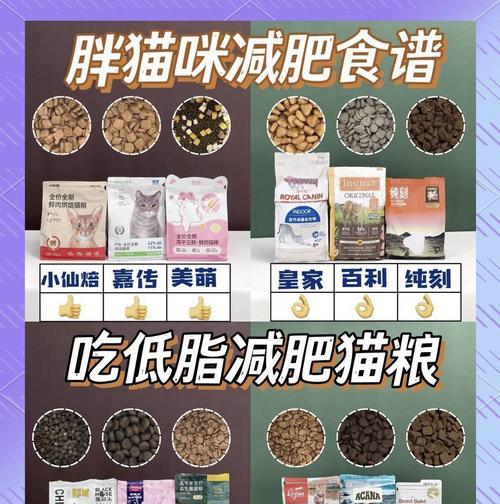 低脂肪猫粮有哪些选择？如何确保猫粮健康？