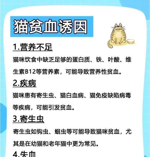 猫粮导致贫血的原因是什么？如何预防？