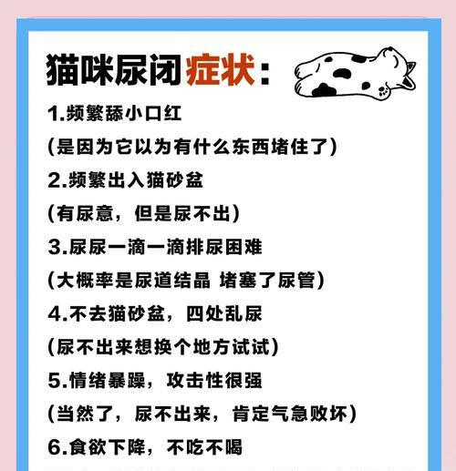猫粮后拉尿是何原因？如何调整饮食习惯？
