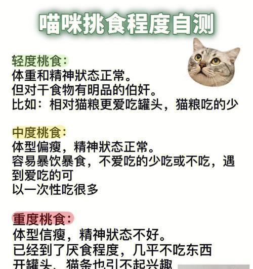 猫咪拒食猫粮的解决方法是什么？