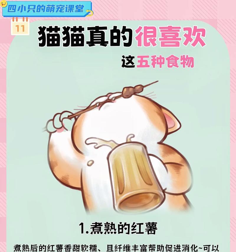 猫咪只吃猫粮会怎样？长期只吃猫粮对猫咪健康的影响？